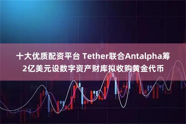 十大优质配资平台 Tether联合Antalpha筹2亿美元设数字资产财库拟收购黄金代币
