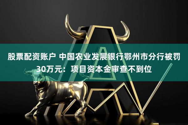 股票配资账户 中国农业发展银行鄂州市分行被罚30万元：项目资本金审查不到位