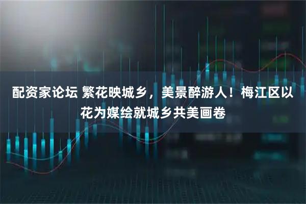 配资家论坛 繁花映城乡，美景醉游人！梅江区以花为媒绘就城乡共美画卷