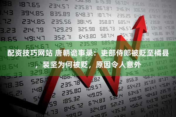 配资技巧网站 唐朝诡事录：吏部侍郎被贬至橘县，裴坚为何被贬，原因令人意外